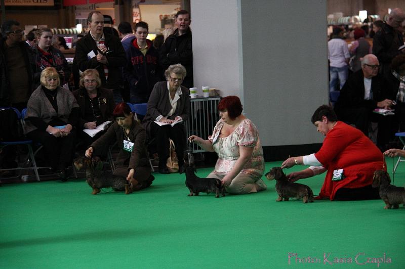 Crufts2011_2 641.jpg